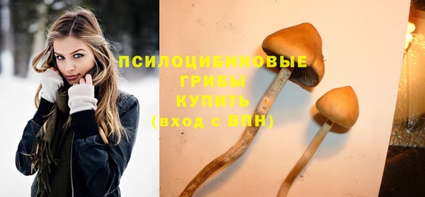 MESCALINE Покачи