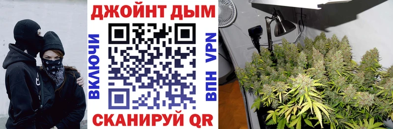нарко площадка наркотические препараты  Барыш  Шишки марихуана индика 